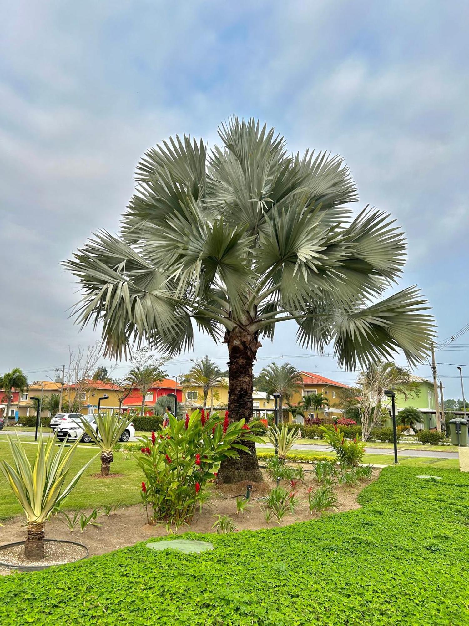 Condominio Aldeia Dos Reis Mangaratiba Esterno foto